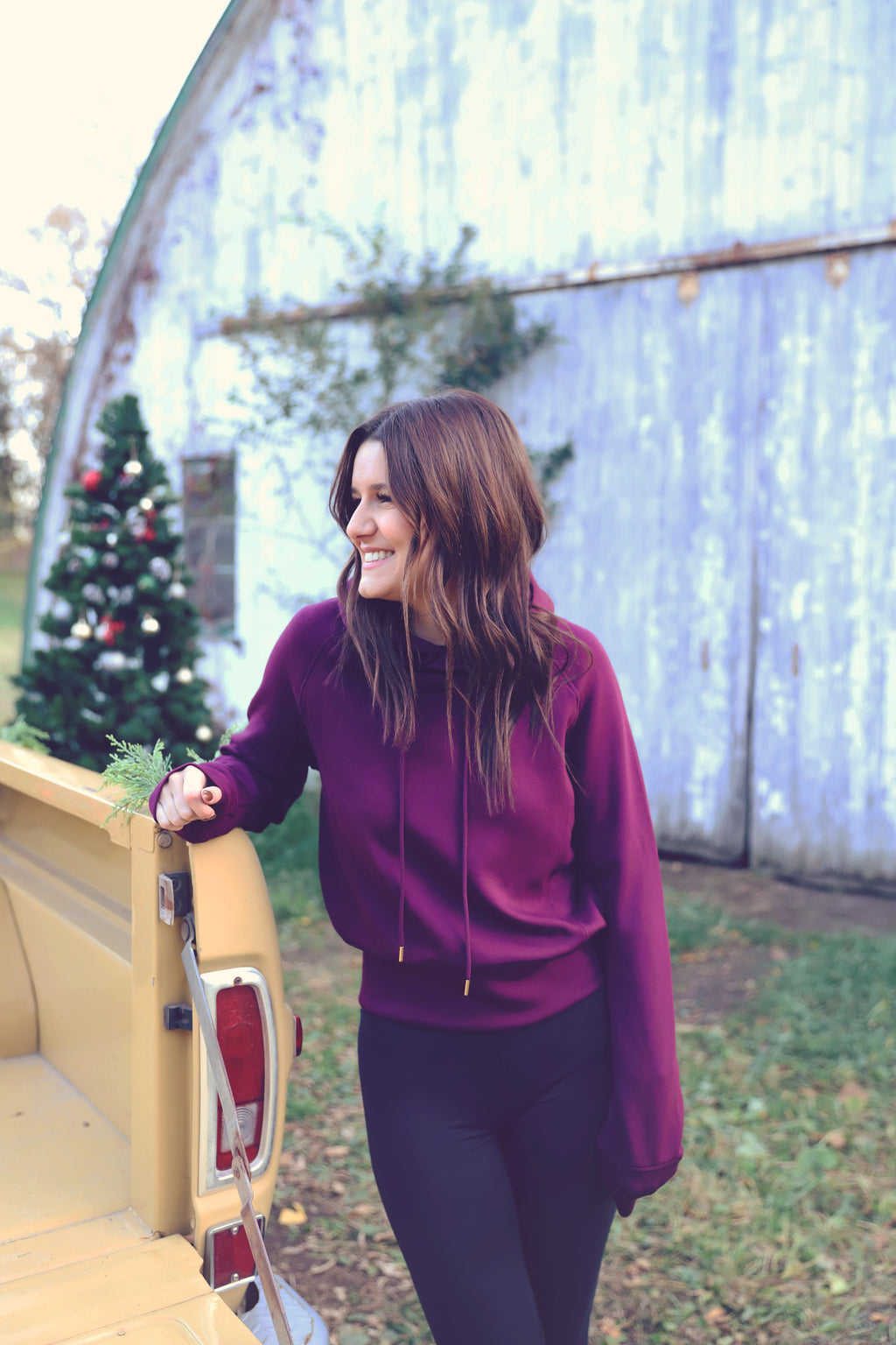 Plum Elevated Cropped Hoodie