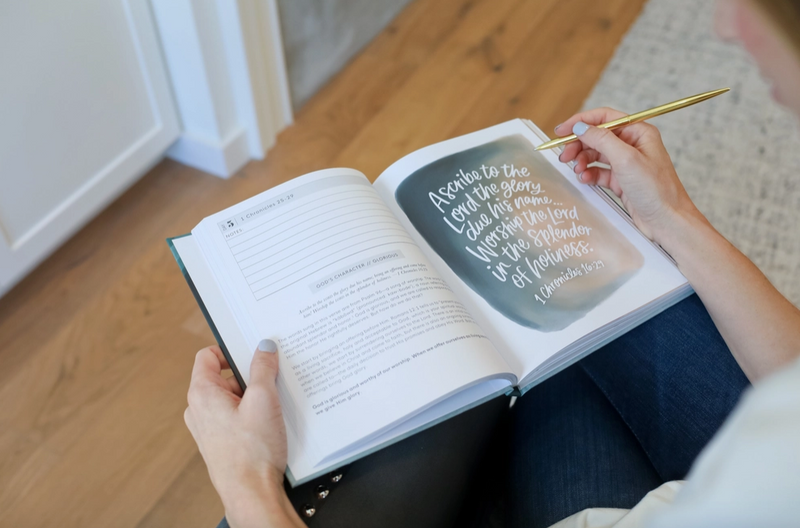 The Bible In A Year